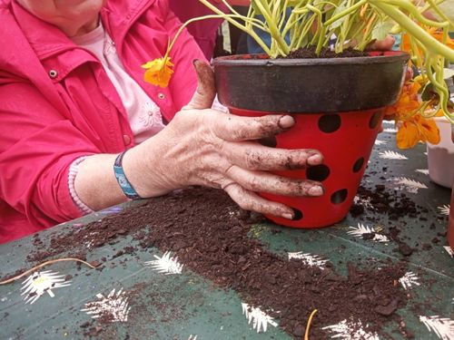 Huertos y jardines terapéuticos, una mejora del bienestar